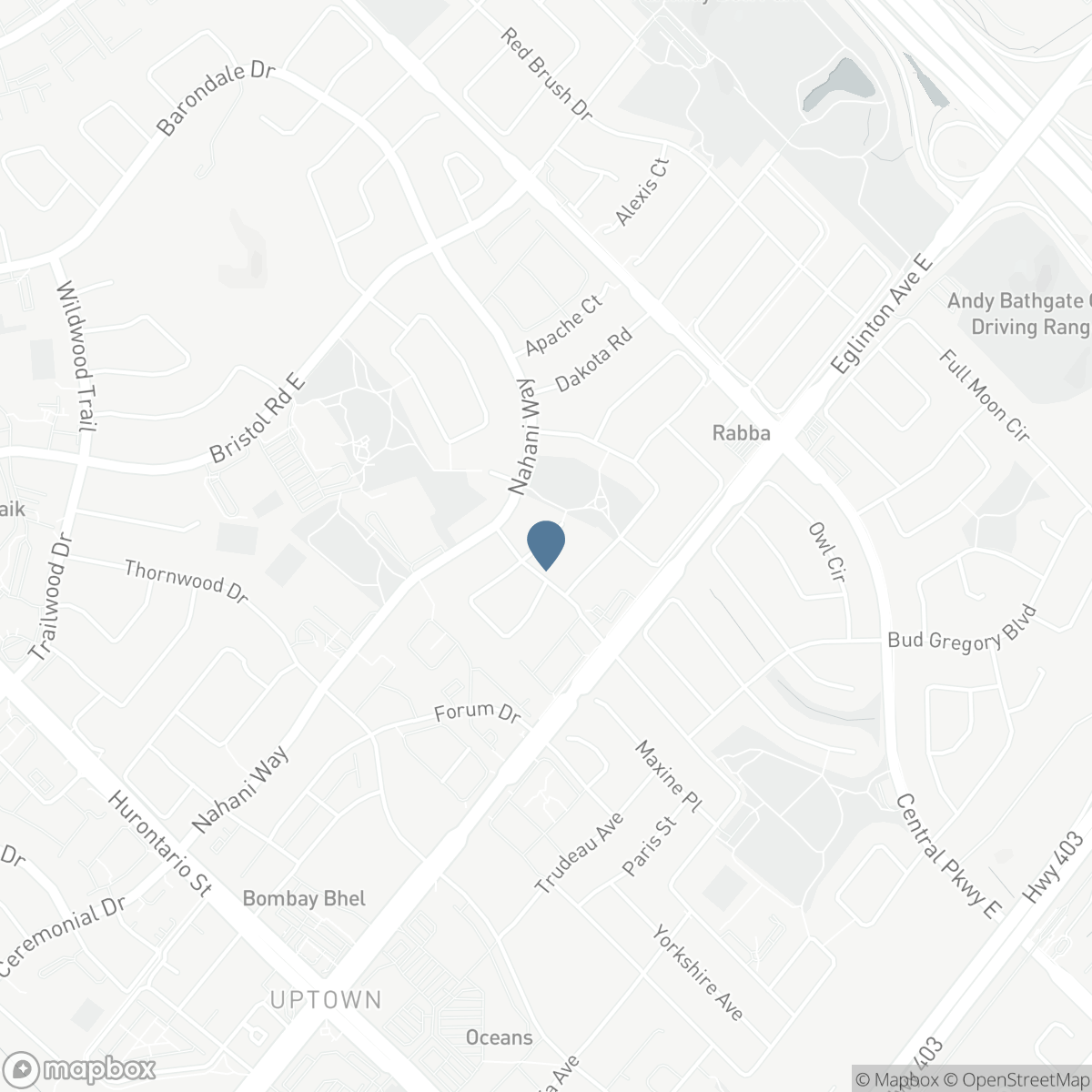 300 CANITAL COURT, Mississauga, Ontario L4Z 3B6